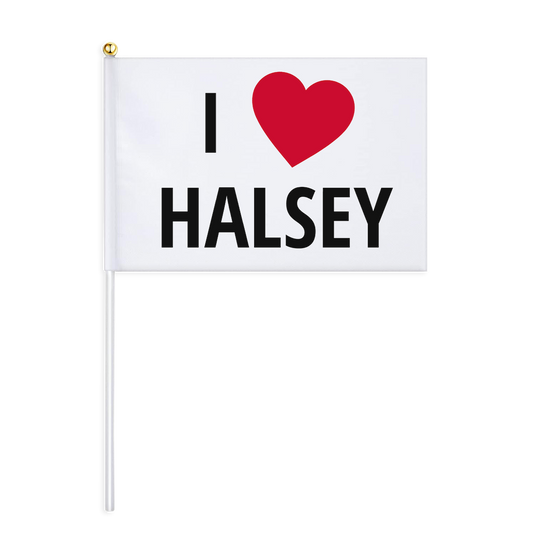 I Heart Halsey Mini Flag