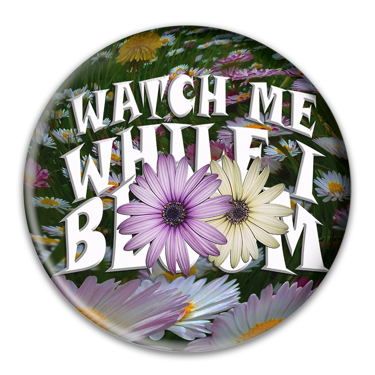 Watch Me While I Bloom Button