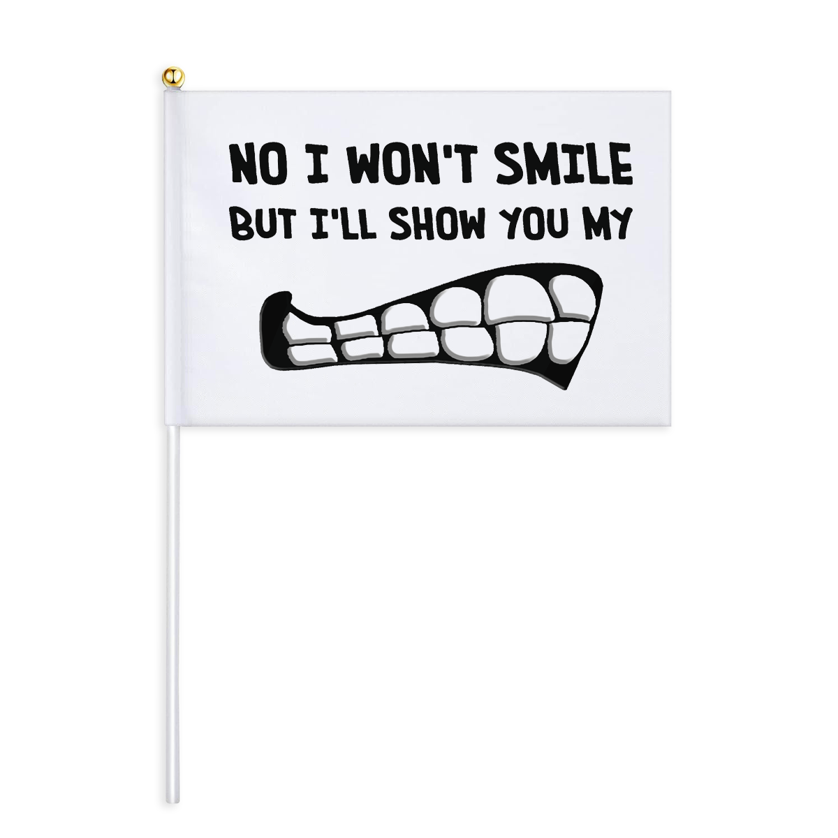 I Won't Smile Mini Flag