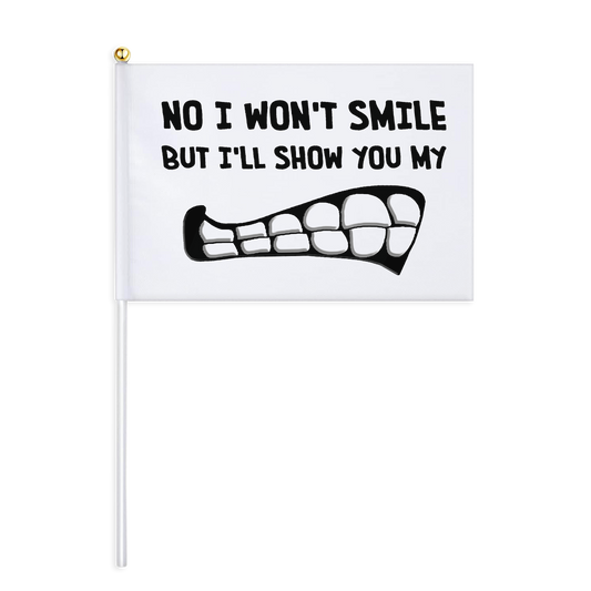 I Won't Smile Mini Flag